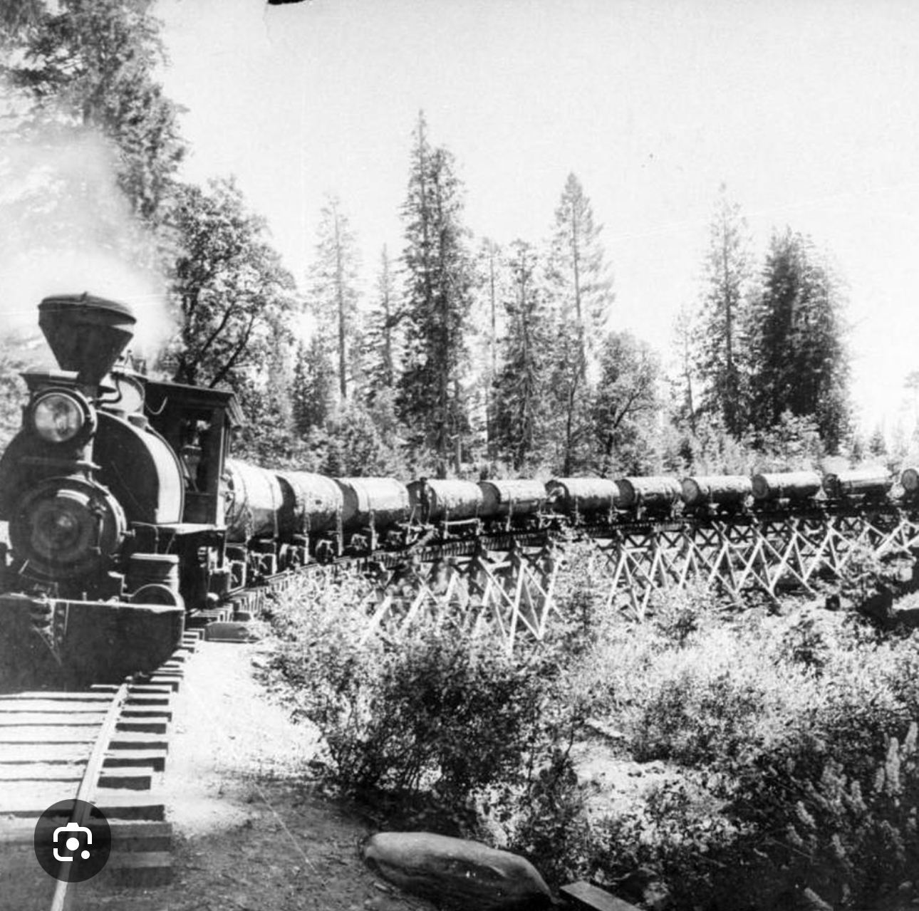 Albion Railway, Mendocino County, California