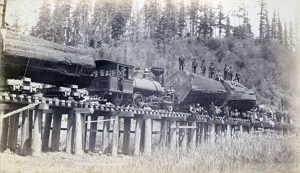 Albion Lumber Company's redwood logging railroad and Baldwin locomotive, circa 1890