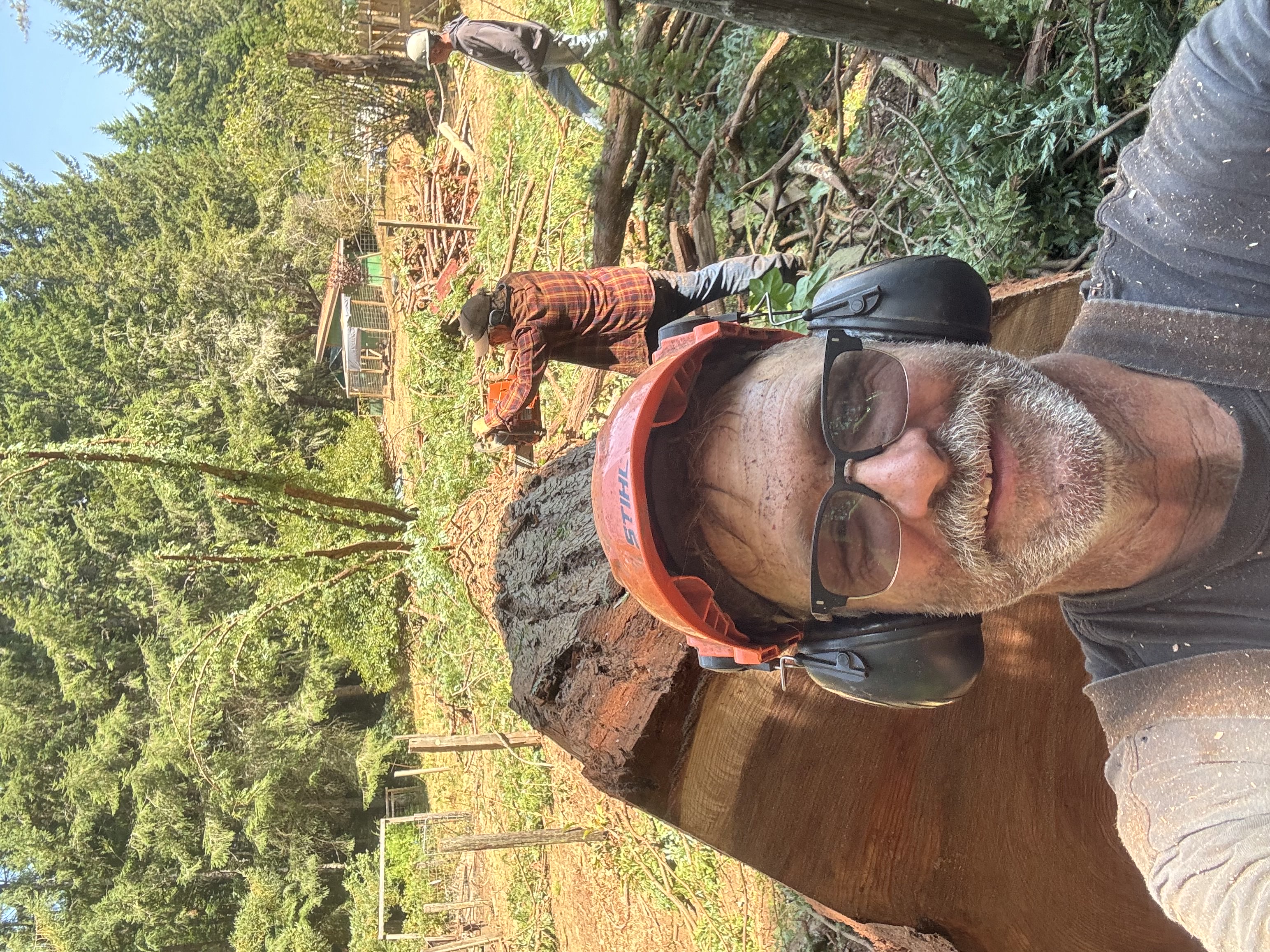 Paul Shandel with redwood lumber at Albion Lumber yard